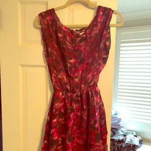 Alice & Olivia by Scoop dress